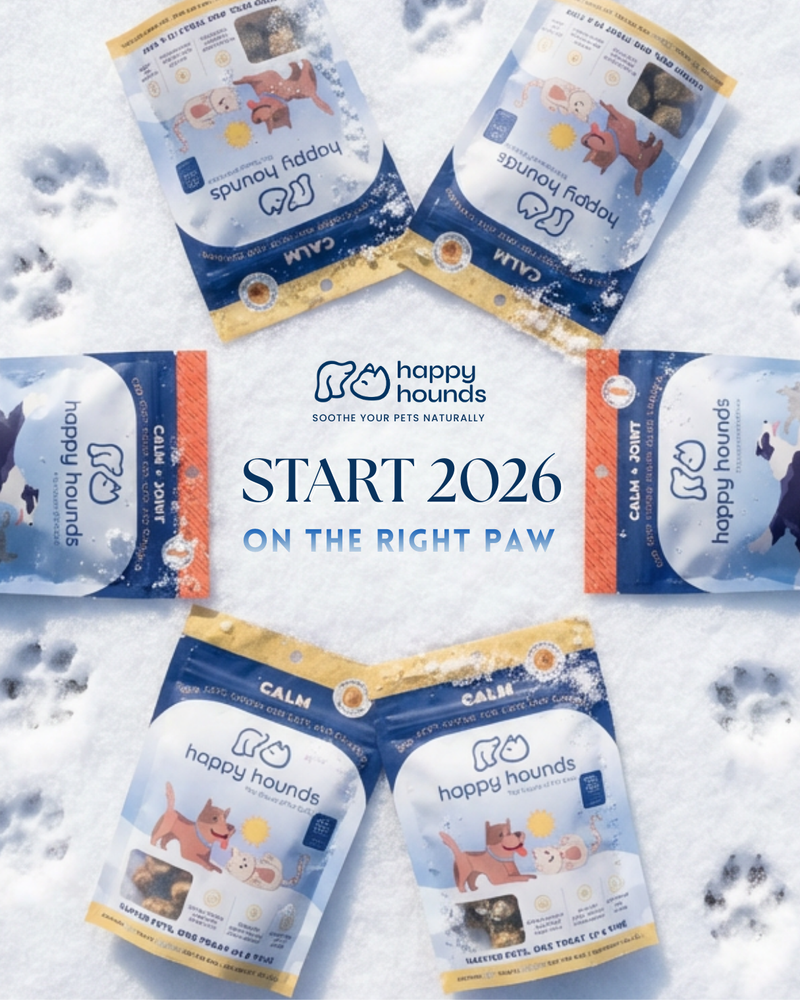 Happy Hounds CBD dog treats for anxiety and pain on a snowy background