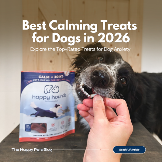 Best Calming Treats for Dogs in 2026