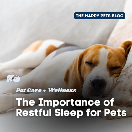 best-sedatives-for-dog-travel-sleep-cbd-for-dog-anxiety-sleep-aid-for-pets-on-plane