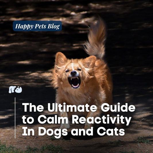The-Ultimate-Guide-to-Calm-Reactive-Dogs Happy Hounds Happy Hounds The-Ultimate-Guide-to-Calm-Reactive-Dogs