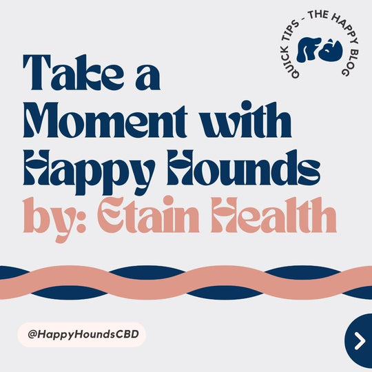 Happy-Hounds-CBD-speaks-with-Etain-Health, CBD-for-pets, natural-calming-relief-for-dogs, dogs-with-anxiety