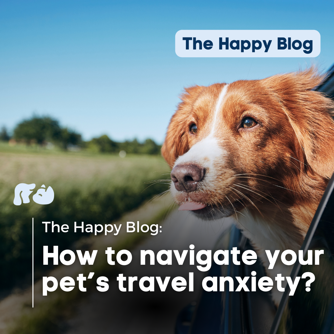 How to Navigate Dog Travel Anxiety | Treatment, The Happy Pets Blog ...