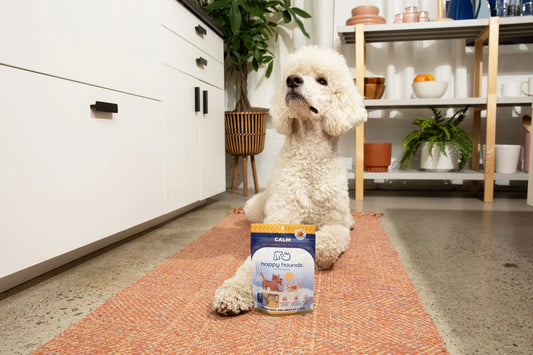 Understanding-the-Benefits-of-CBD-Dog-Treats-for-Anxiety Happy Hounds Happy Hounds Understanding-the-Benefits-of-CBD-Dog-Treats-for-Anxiety