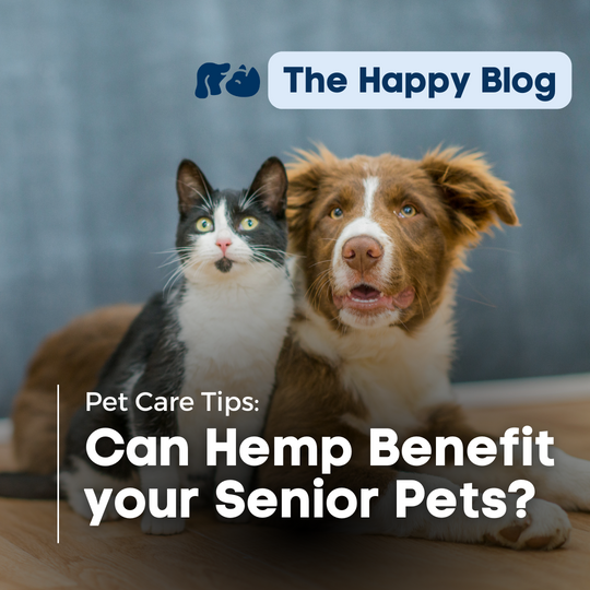 happy hounds, senior dogs, does cbd help senior dogs, is cbd effective for aging pet, how to dose cbd for senior dogs, cbd for pets with anxiety, calm for older pets