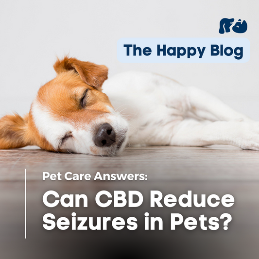 Happy-Hounds-Can-CBD-Help-Pets-With-Seizures-what-is-epilepsy-in-pets-dogs-with-epilepsy