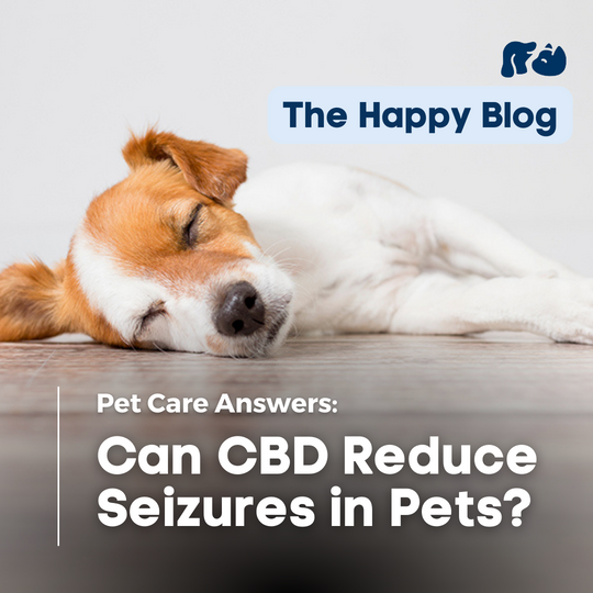 Happy-Hounds-Can-CBD-Help-Pets-With-Seizures-what-is-epilepsy-in-pets-dogs-with-epilepsy