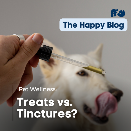 The-Happy-Blog-Tinctures-vs-Treats-How-to-dose-use-and-understand-cbd-for-pets