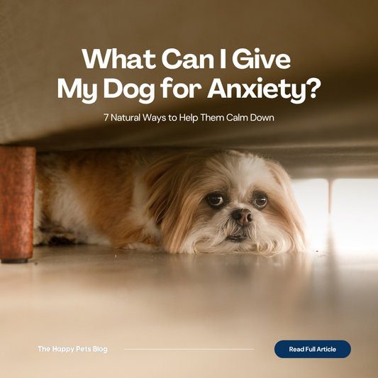 Small dog lying beneath a sofa, with the headline “What Can I Give My Dog for Anxiety? 7 Natural Ways to Help Them Calm Down.”