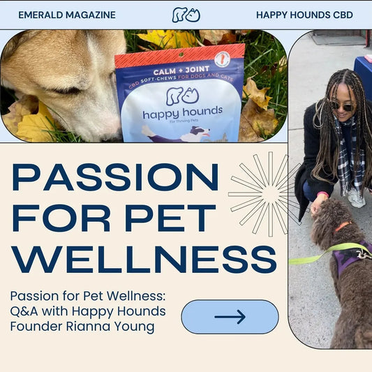 Passion-for-Pet-Wellness-Q-A-with-Happy-Hounds-Founder-Rianna-Young Happy Hounds Happy Hounds Passion-for-Pet-Wellness-Q-A-with-Happy-Hounds-Founder-Rianna-Young