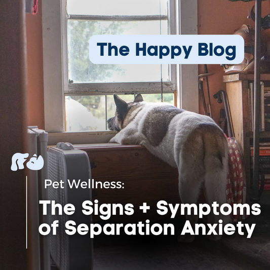 Happy-Hounds-CBD-for-anxious-pets, woman with dog, dogs with separation anxiety, reduce-anxiety-in-dogs, calm-pets, separation-anxiety-in-dogs, travel-anxiety-in-dogs