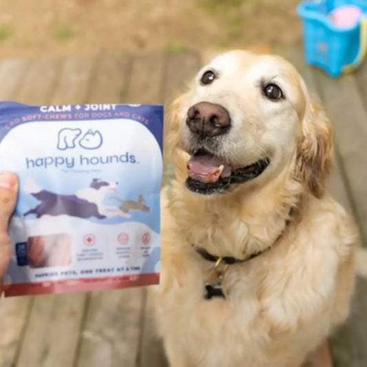 What-to-Look-for-in-Calming-Dog-Treats Happy Hounds Happy Hounds What-to-Look-for-in-Calming-Dog-Treats