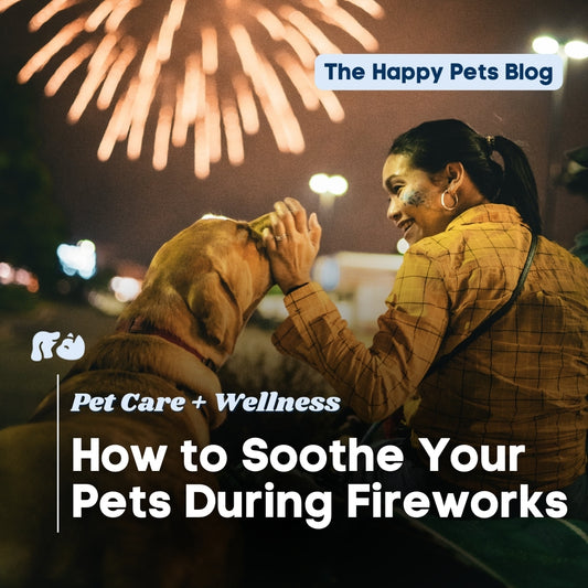 How-to-Calm-Your-Dog-For-Fireworks Happy Hounds Happy Hounds How-to-Calm-Your-Dog-For-Fireworks