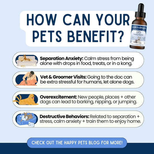 The Calm Drops | Extra-Strength Anxiety Relief for Dogs Happy Hounds CBD