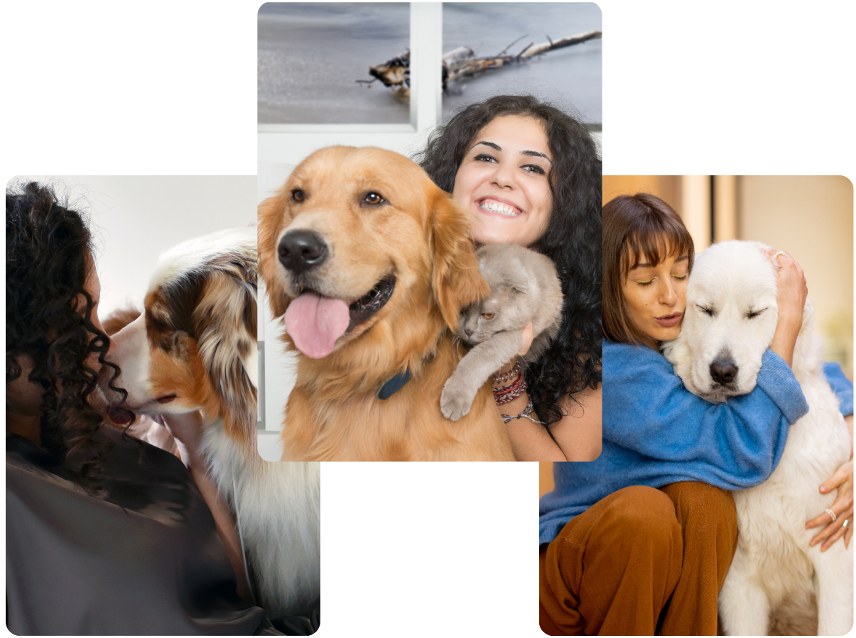 happy-hounds-dog-mom-top-rated-cbd-dog-treats-to-calm-pet-anxiety