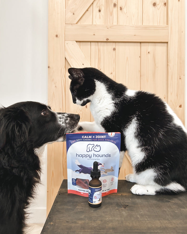 Dog-Cat-Calming-Bundle-Rise-and-Shine-Duo-for-pet-mobility-and-allergies