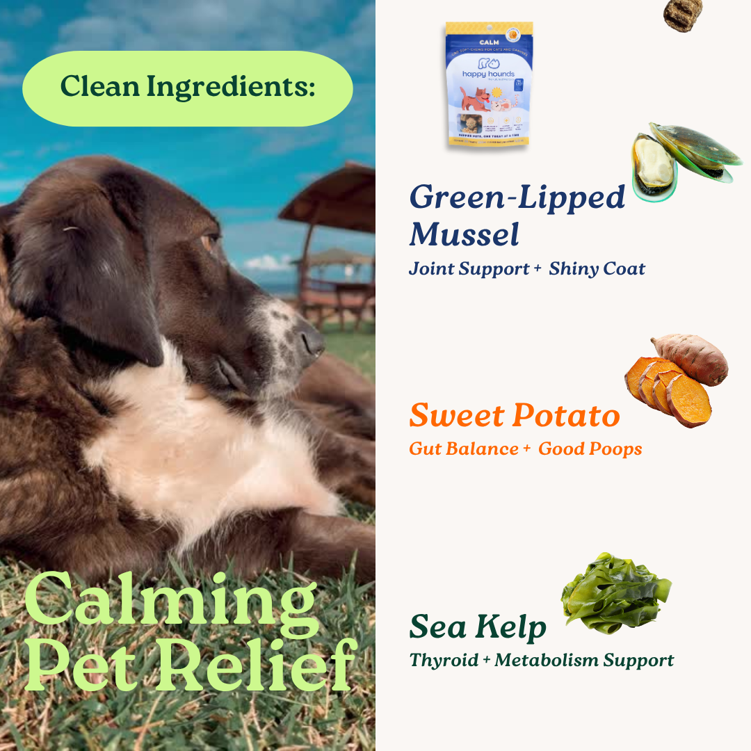 The Calm Chews | CBD Soft-Chews for Anxious Dogs