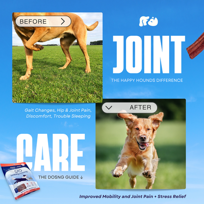 The Unstoppable Duo | Dog Mobility Soft-Chews + Extra Strength CBD Oil Drops