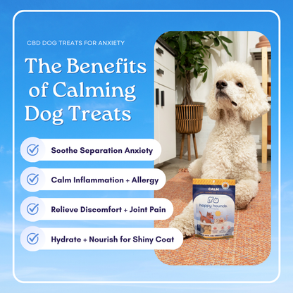 The Calm Chews | CBD Soft-Chews for Anxious Dogs