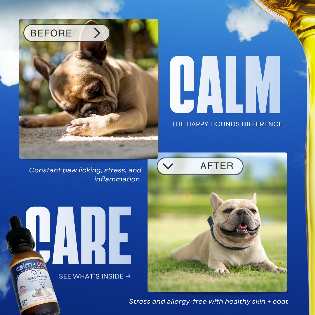 Happy Hounds Calm + Coat Drops skin, coat and calming-support graphic