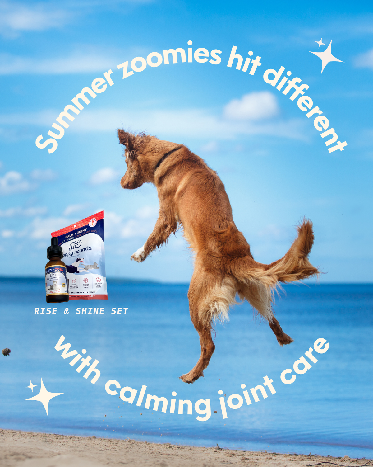 The Unstoppable Duo | Dog Mobility Soft-Chews + Extra Strength CBD Oil Drops