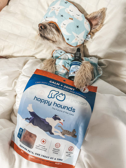 The Unstoppable Duo | Dog Mobility Soft-Chews + Extra Strength CBD Oil Drops