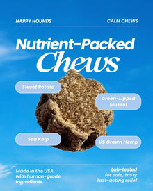 Calm | Soothing CBD Dog Treats for Dog Anxiety