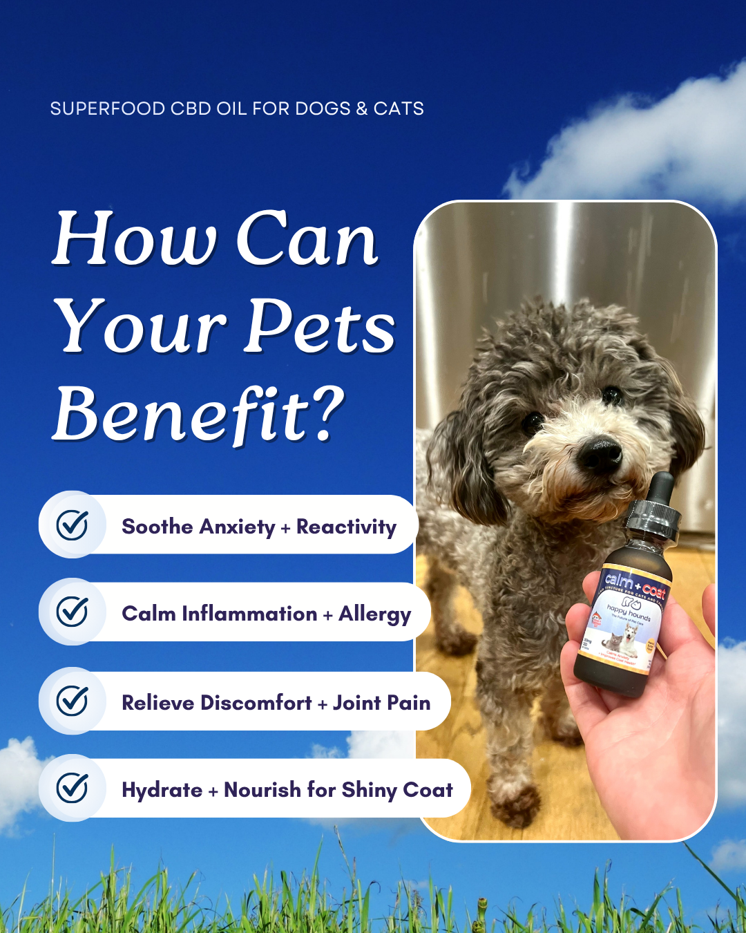 Happy-Hounds-calm-dog-anxiety-treats-natural-alternative-to-dog-anxiety-meds-cbd-for-dog-cat-anxiety-with-salmon-oil-hemp-drops-dog-allergy-skin-coat-care