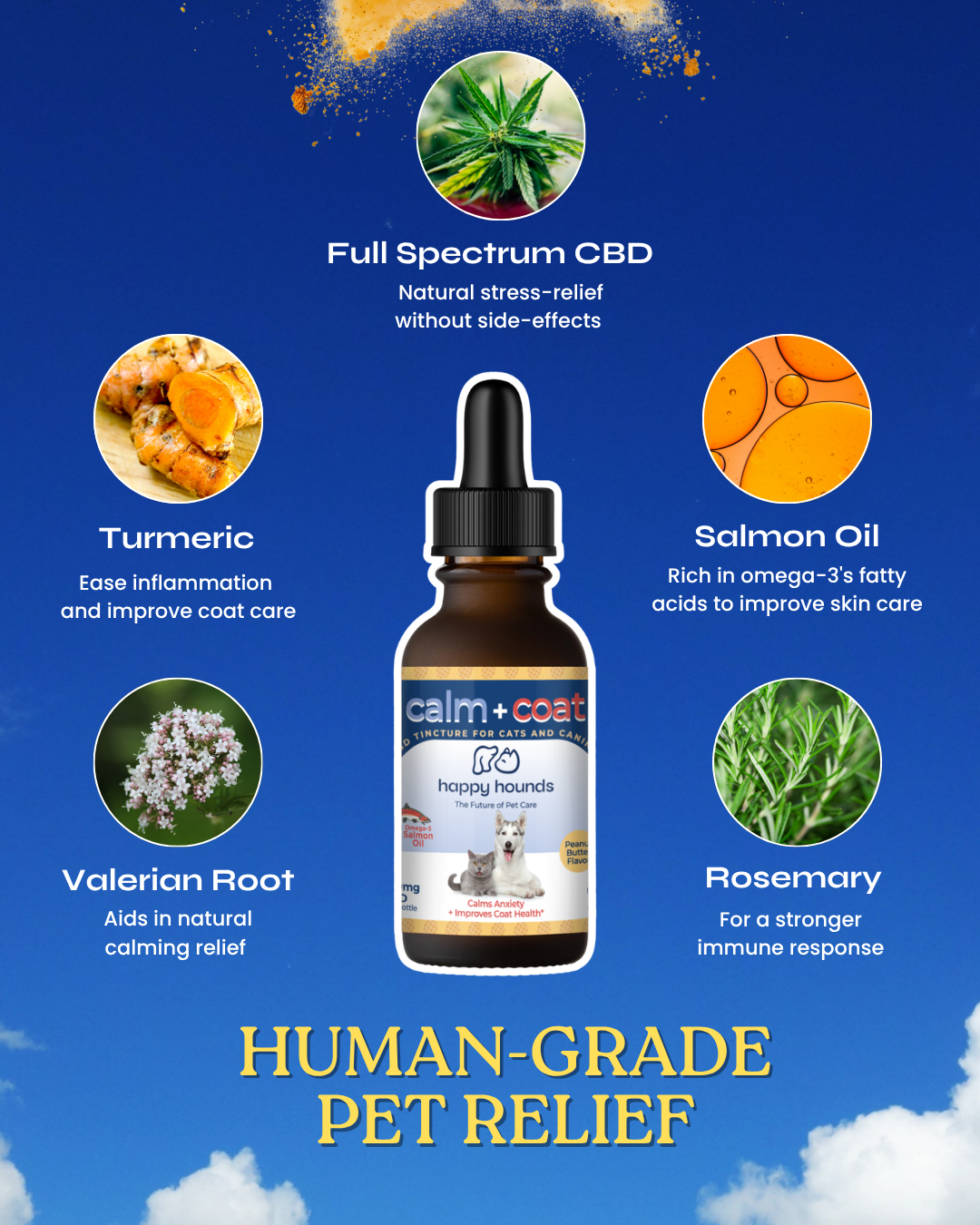 Calm + Coat Drops | Soothing Superfood Dog Anxiety Relief