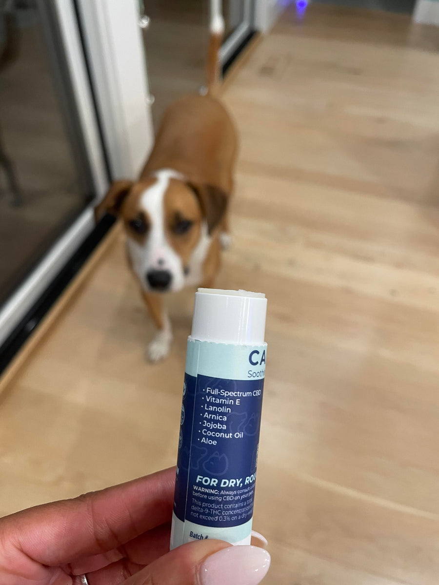 Happy Hounds, Calm Balm, Cracked Paws, Pet-safe-balm, dog-paw-nose-protection-wax, vitamin e for dog paws, aloe-for-cracked-paws, dry-dog-nose, paw-balm
