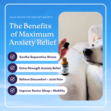 Happy Hounds CBD-for-anxious-dogs, CBD-Oil-for-dog-anxiety, cbd-for-anxiety, how-to-dose-cbd-for-big-dog, cbd-for-senior-dogs, Can-CBD-Oil-help-with-anxiety-in-dogs