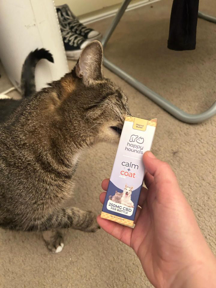 calming-drops-for-cats-best-cbd-oil-tincture-for-cat