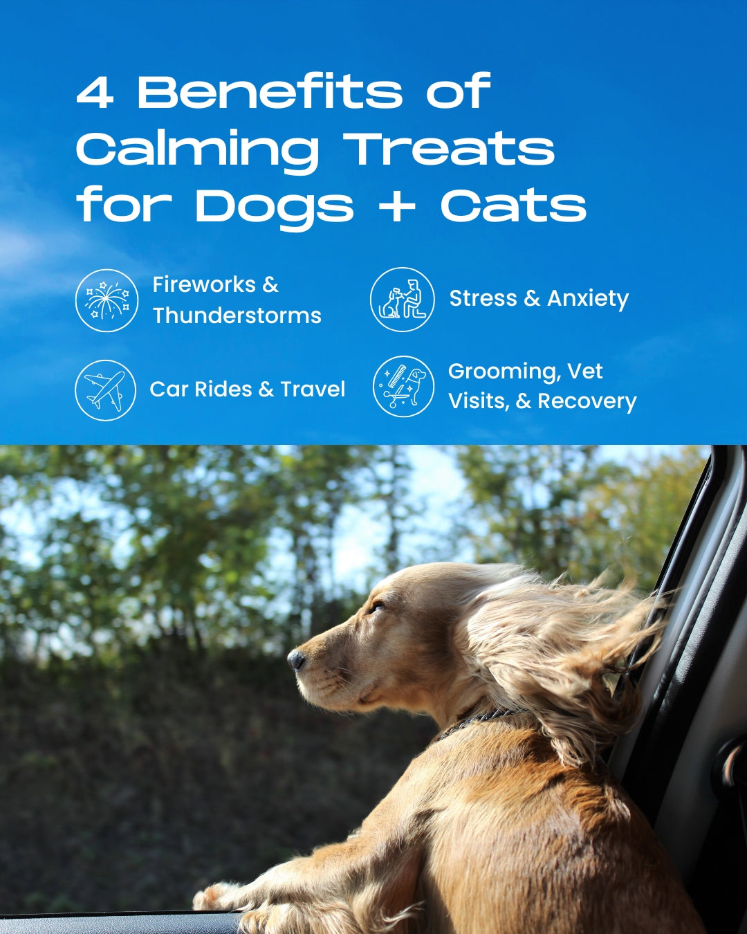 benefits of CBD dog and cat treats, calming treats for dogs, pet travel anxiety, separation anxiety in dogs, pet stress during vet visits, calming treats for fireworks and thunderstorms, over the counter calming treats for dogs and cats