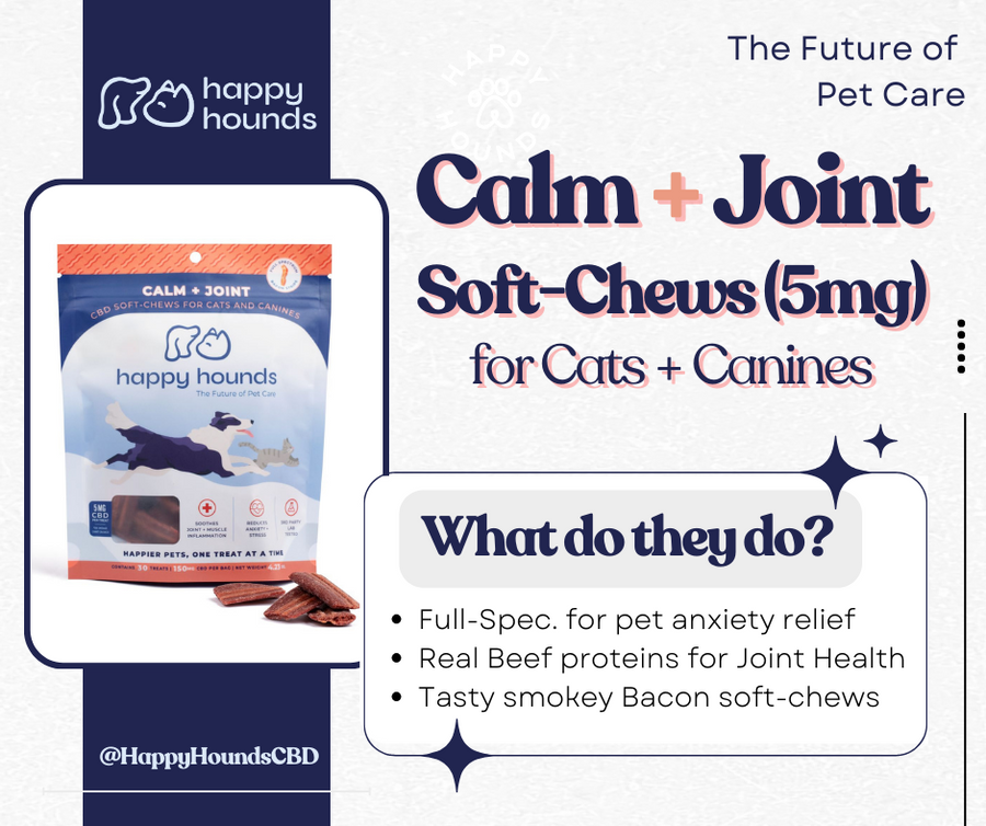 Holiday-pet-care-bundle-happy-hounds-cam-anxious-pets-bacon-strips