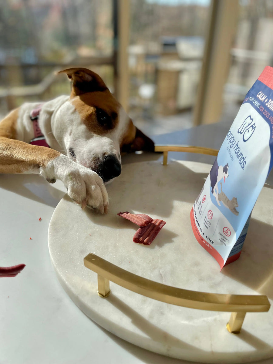 happy-hounds-calm-cbd-pet-soft-chews-to-calm-anxiety-naturally-hip-and-joint-care-dog-treats-for-natural-stress-travel-relief