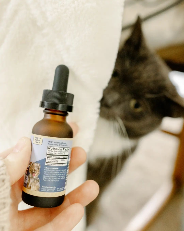 Hand holding a bottle of pet supplement with a cat in the background