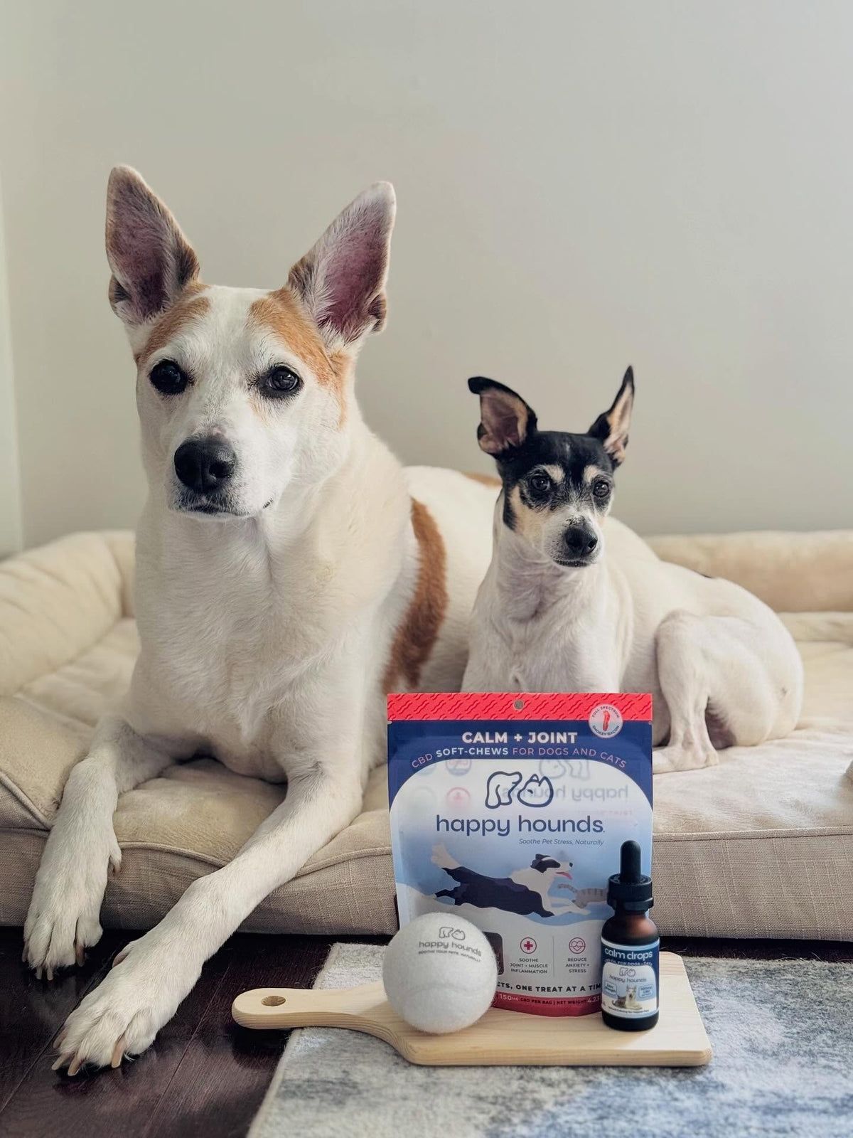 Two dogs sitting on a couch with Happy Hounds pet product packaging in front of them.