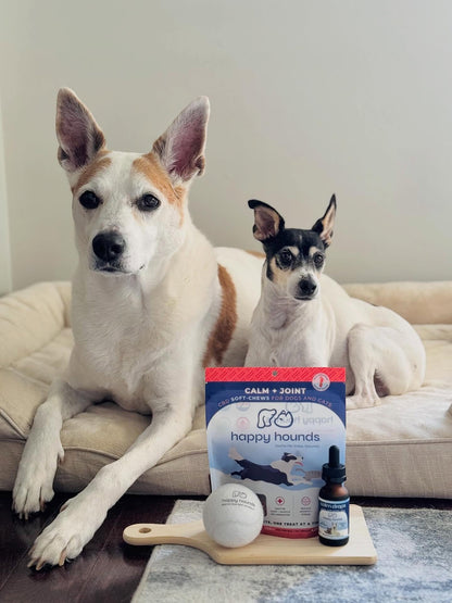 Calming Dog Treat CBD Oil Bundles - Two dogs sitting on a couch with Happy Hounds pet product packaging in front of them.