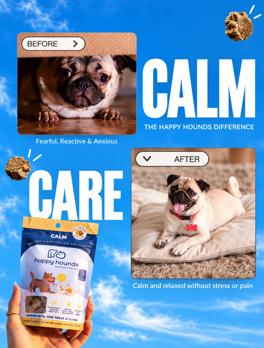 Calm Chews | CBD Dog Soft-Chews for Anxious Dogs