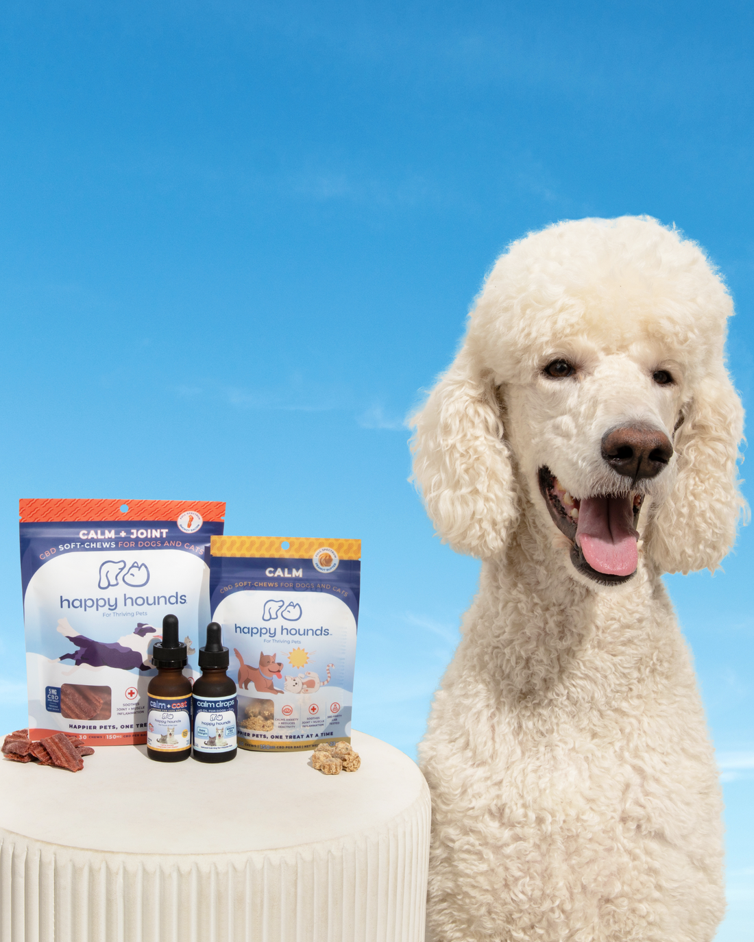 calming-dog-treats-for-anxiety-and-arthritis