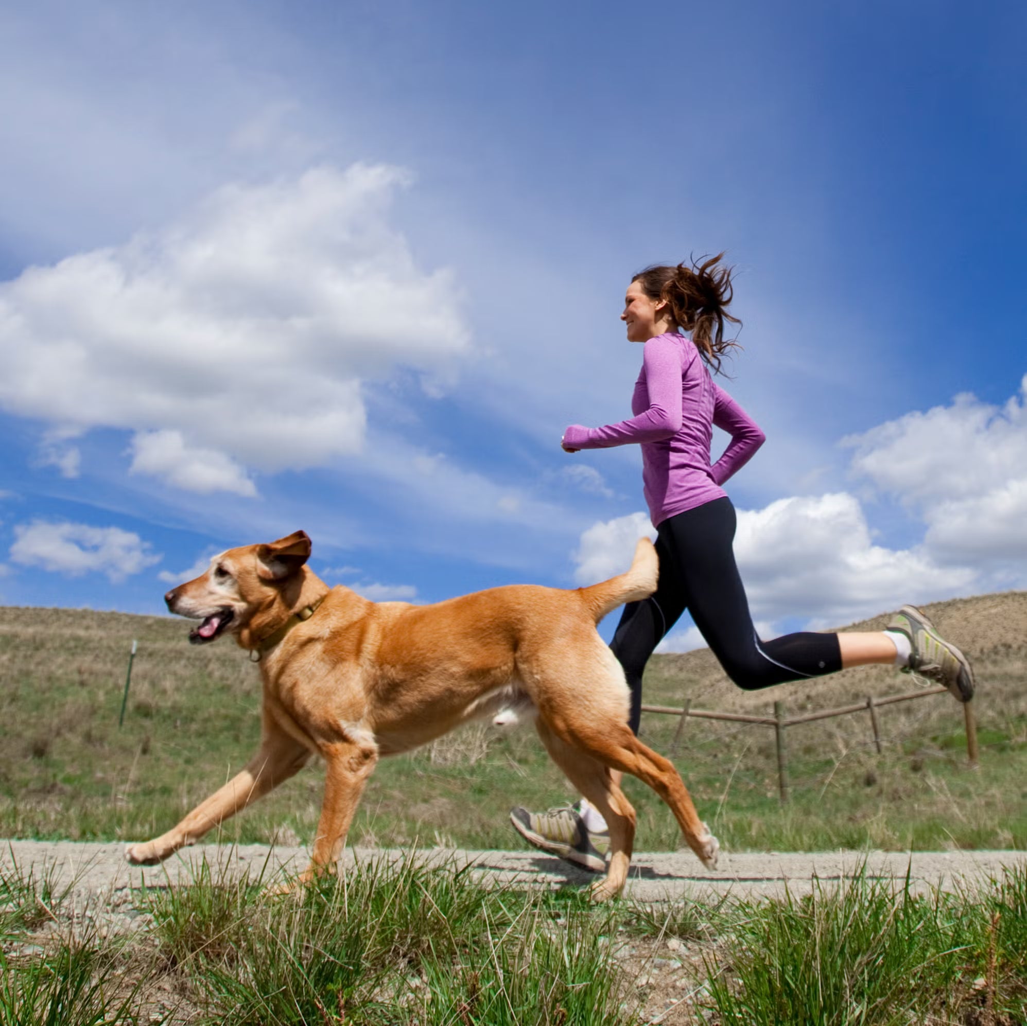Woman running with a dog on a path under a blue sky with clouds