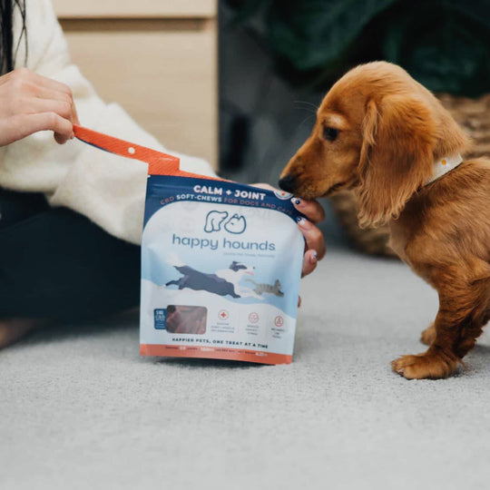 woman-with-dog-opening-happy-hounds-treats-cbd-for-dog-joint-pain