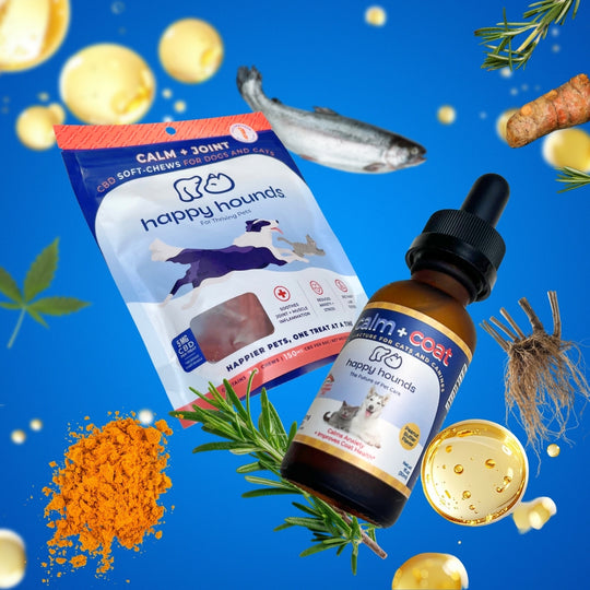 best-calm-dog-treats-for-anxiety-cbd-pet-supplements