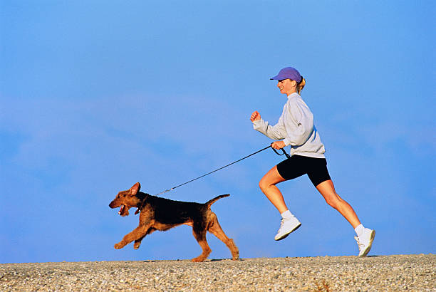 women-using-cbd-dog-treats-to-calm-dog-joint-pain-inflammation