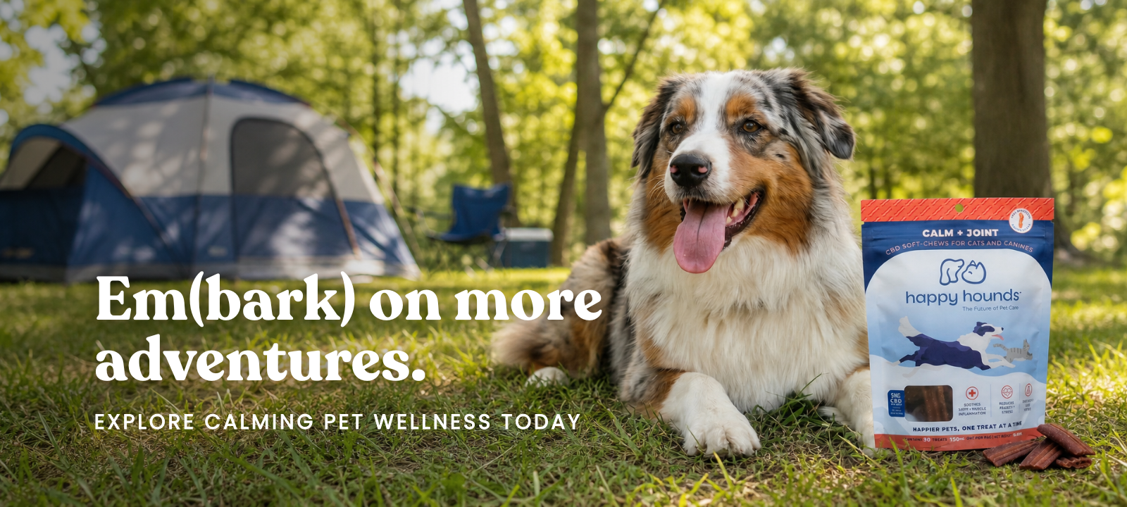 best-cbd-dog-treats-for-fireworks-near-me