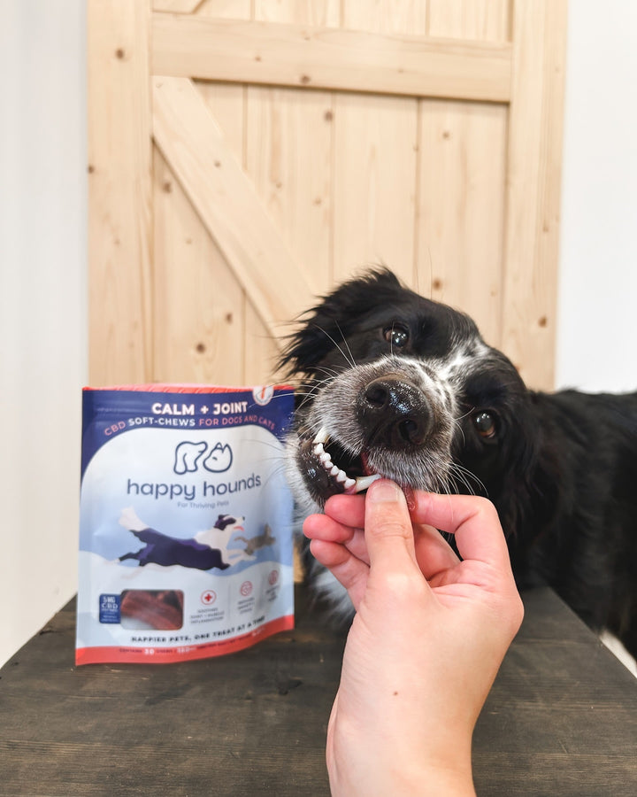 Dog eating a treat from a person's hand with a 'happy hounds' product in the background