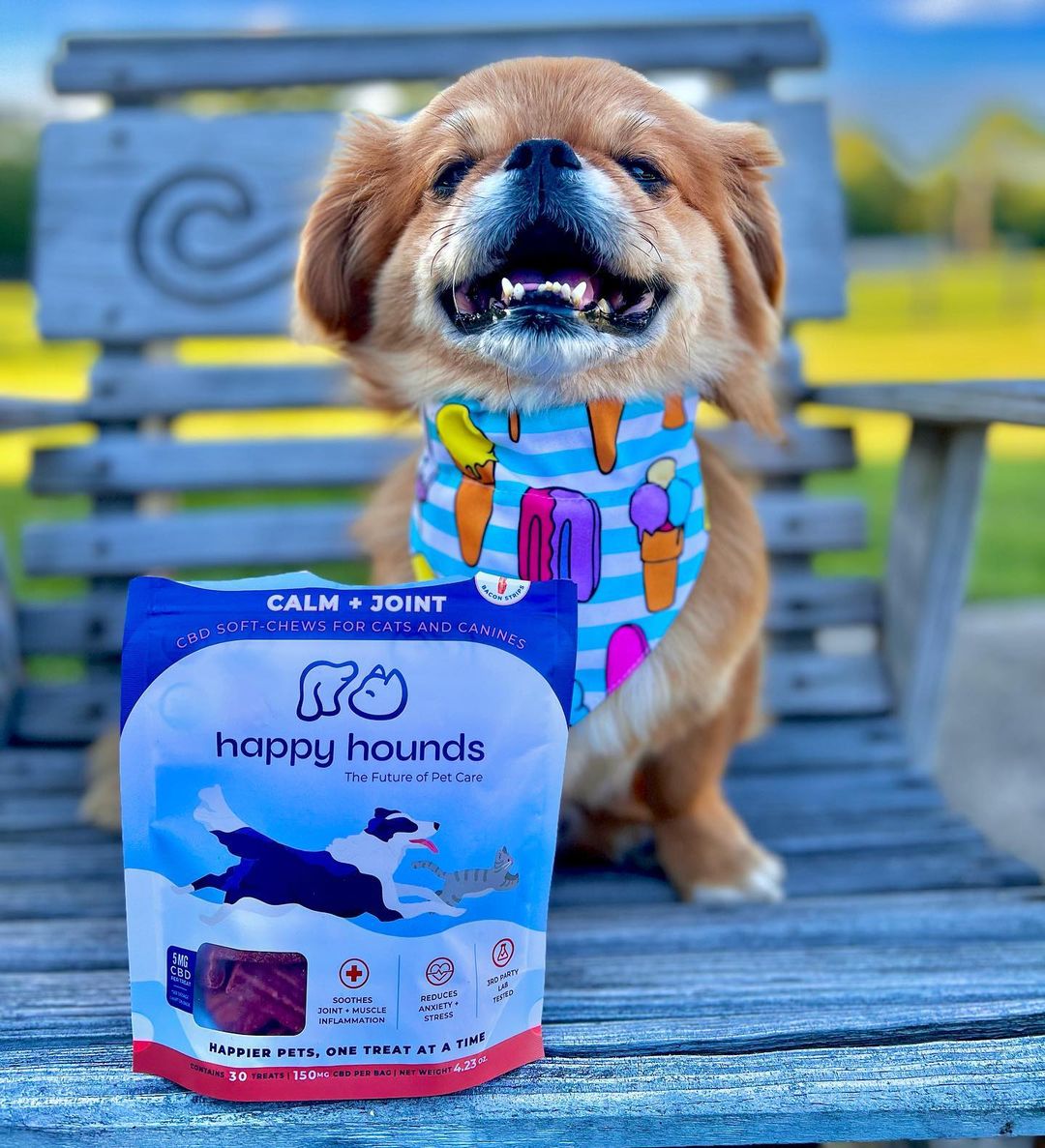 cbd-dog-treat-reviews-joint-supplements-for-small-dogs