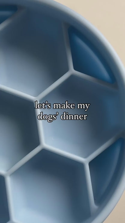 Calm + Coat Drops | Soothing CBD Oil for Dogs & Cats